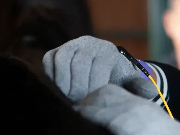 A gloved hand working on a dark horse