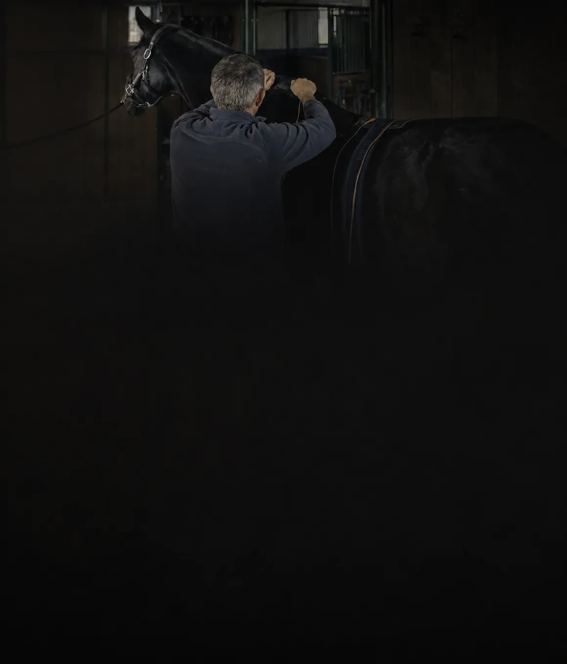 A practitioner working on a horse in a stable