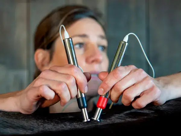 Two hand electrodes held against a horse's coat